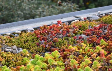 the cost of Ayot St Lawrence green roof installation