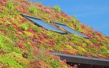Ayot St Lawrence living roof systems